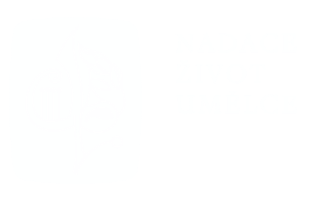 Nadace život umělce